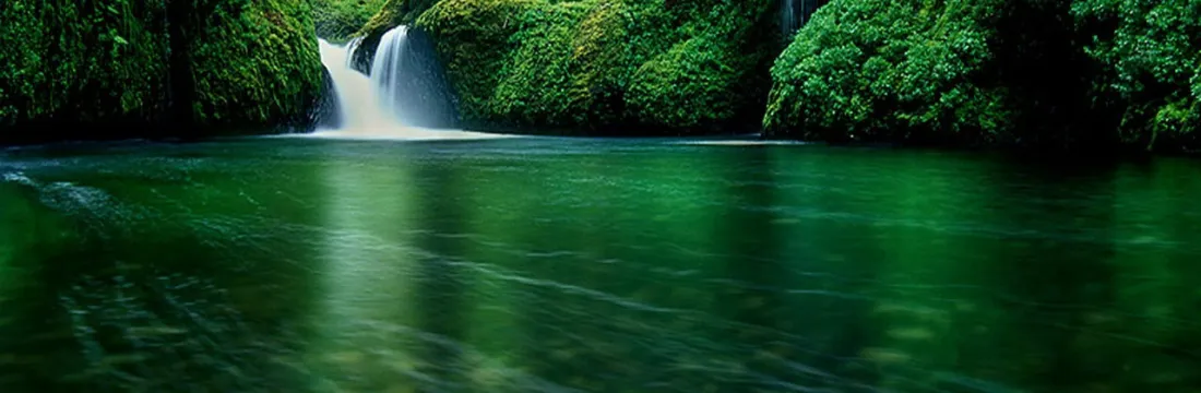Custom image showing  gentle ivory breeze page - Professional Drupal theming and development services