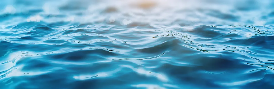 Custom image showing  reading furnishes the mind only with materials of knowledge; it is thinking that makes what we read ours. – amira locke page - Professional Drupal theming and development services