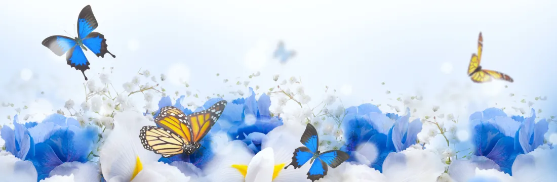 Custom image showing  books are the quietest and most constant of friends; they are the most accessible and wisest of counselors page - Professional Drupal theming and development services