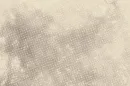 Custom image showing  if we encounter a man of rare intellect page - Professional Drupal theming and development services