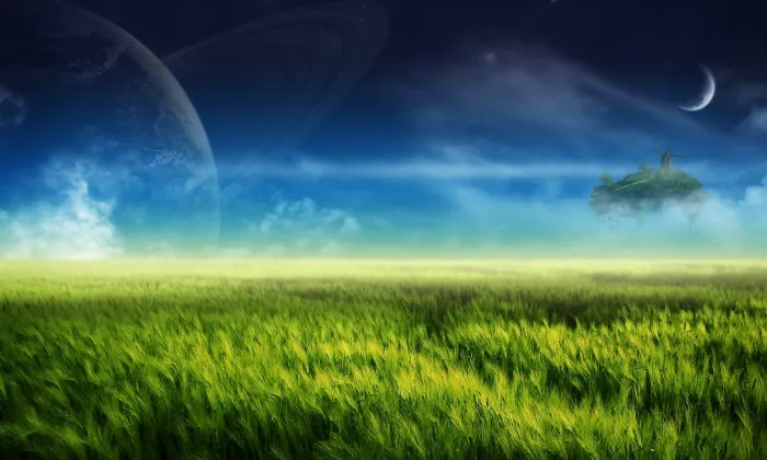 Custom image showing  jungle denim fusion page - Professional Drupal theming and development services