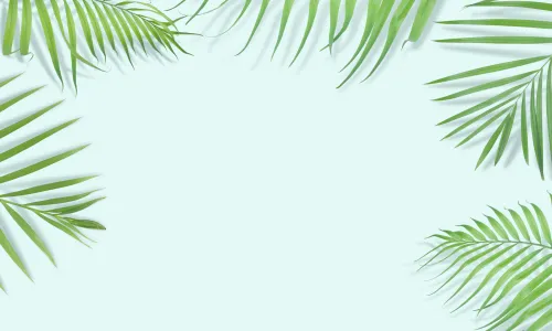 Custom image showing  cookies informations page - Professional Drupal theming and development services