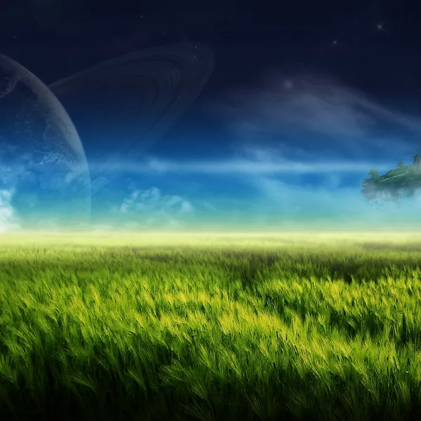 Custom image showing  jungle denim fusion page - Professional Drupal theming and development services