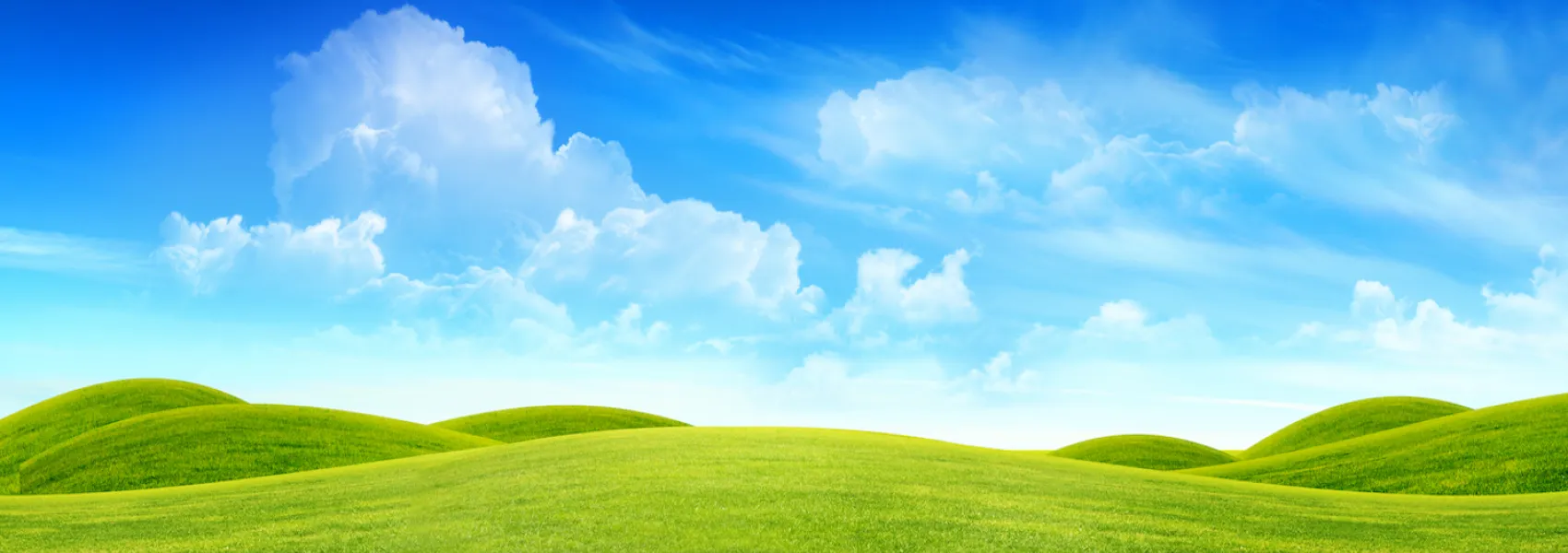 How wonderful it is that nobody need wait a single moment before starting to improve the world. – Anne Frank