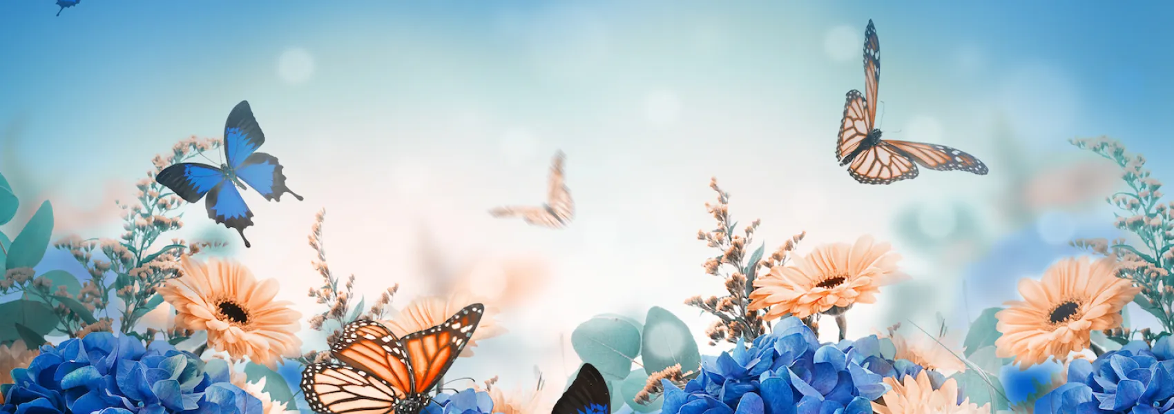 Custom image showing  for my whole life page - Professional Drupal theming and development services
